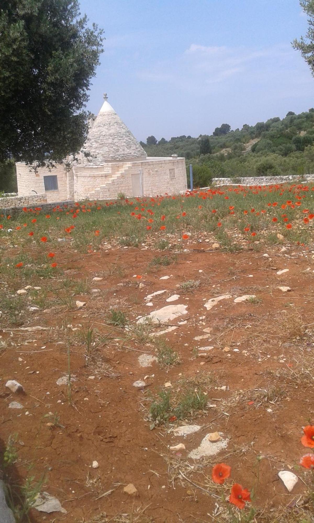 Вилла Trullo Alto Salento Чистернино Экстерьер фото